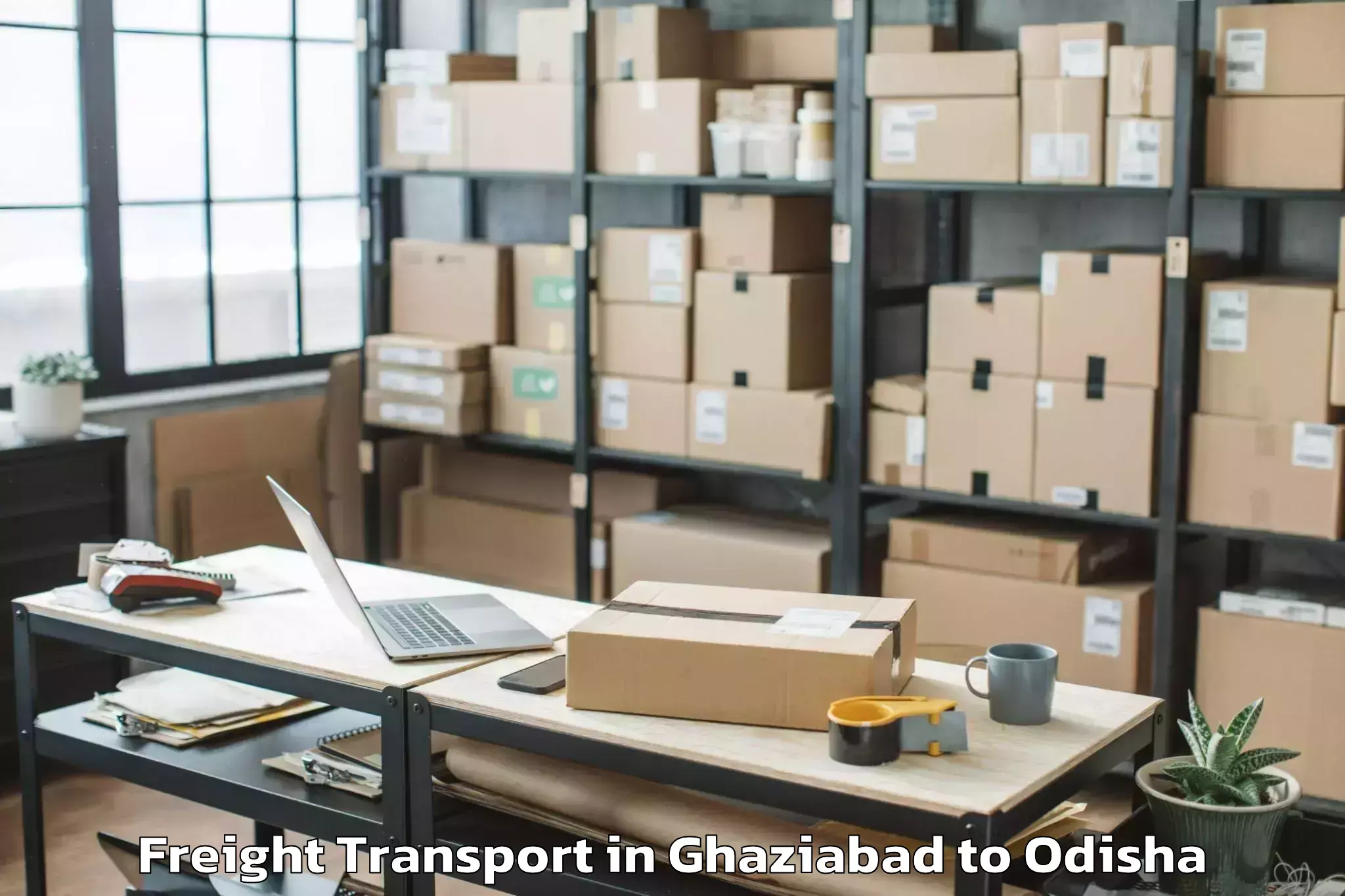 Professional Ghaziabad to Delang Freight Transport